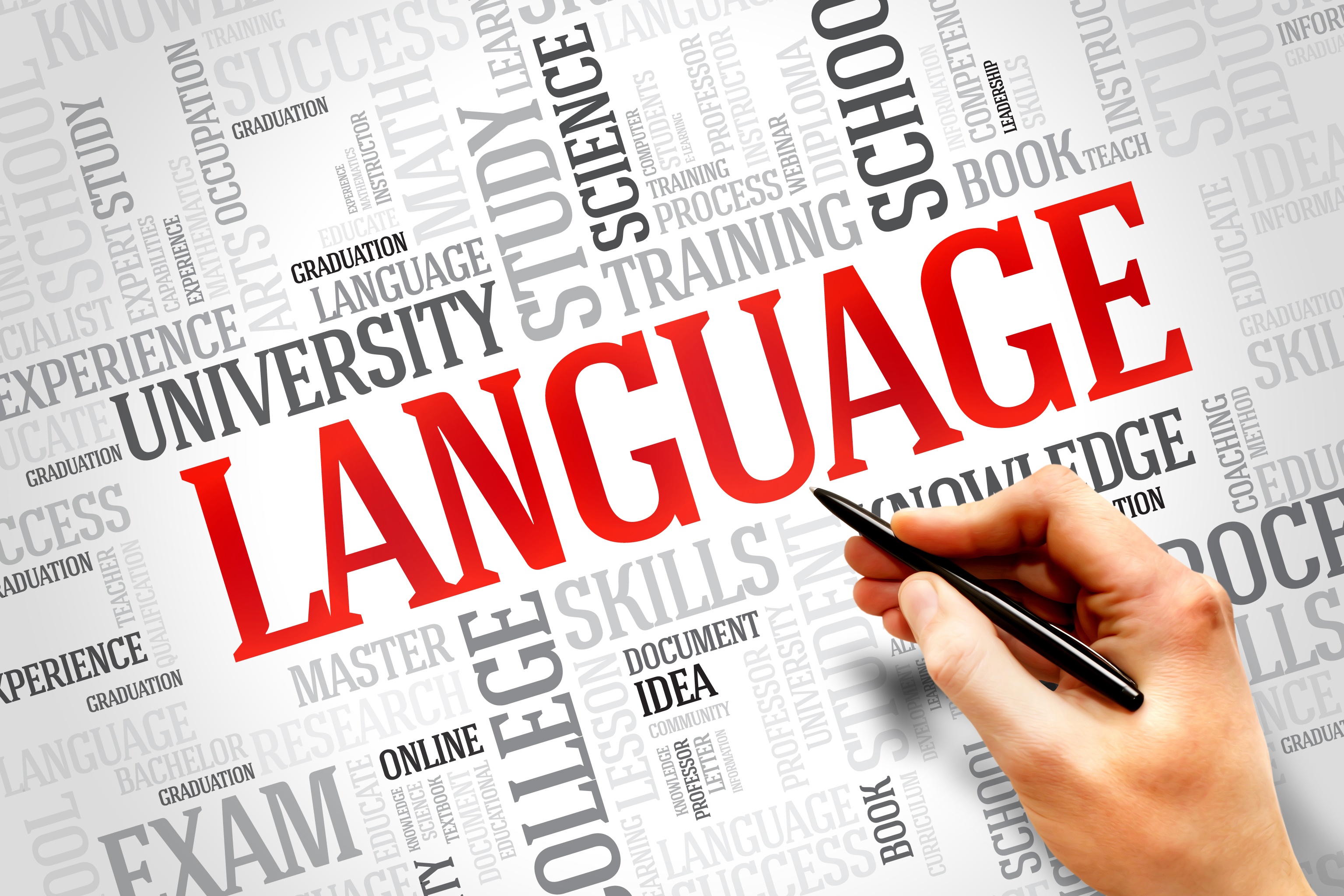WSE - CEFR: cosa è il quadro comune europeo di riferimento per le lingue?